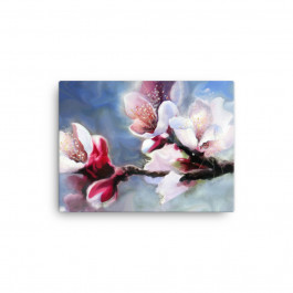 "Blossoms in the Spring" Canvas Print